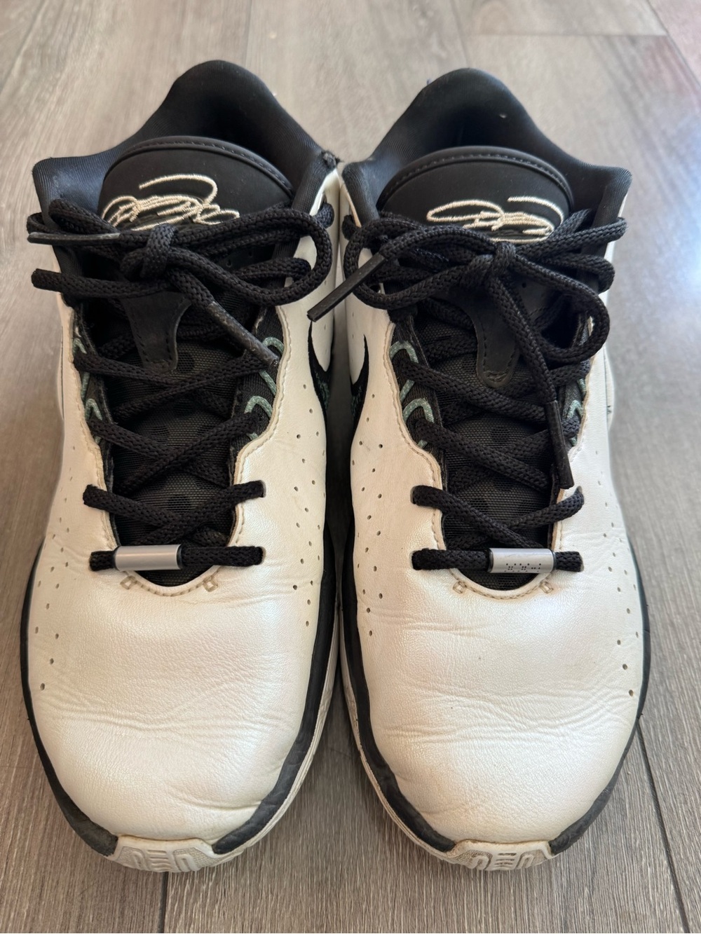 Nike Lebron XXI Conchiolin Big Kids' Basketball Shoes Size 7Y